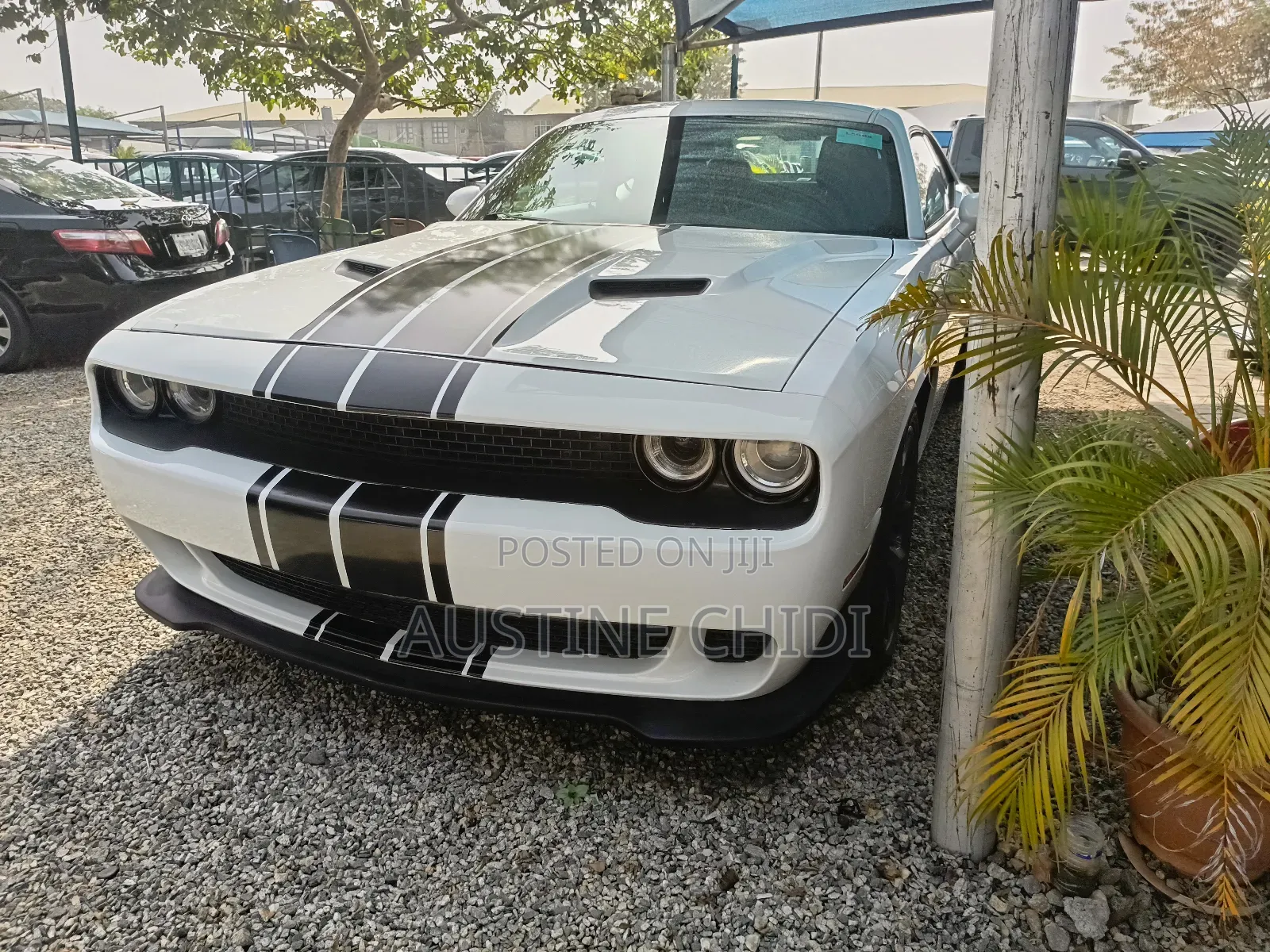 Dodge Challenger GT AWD 2017 White