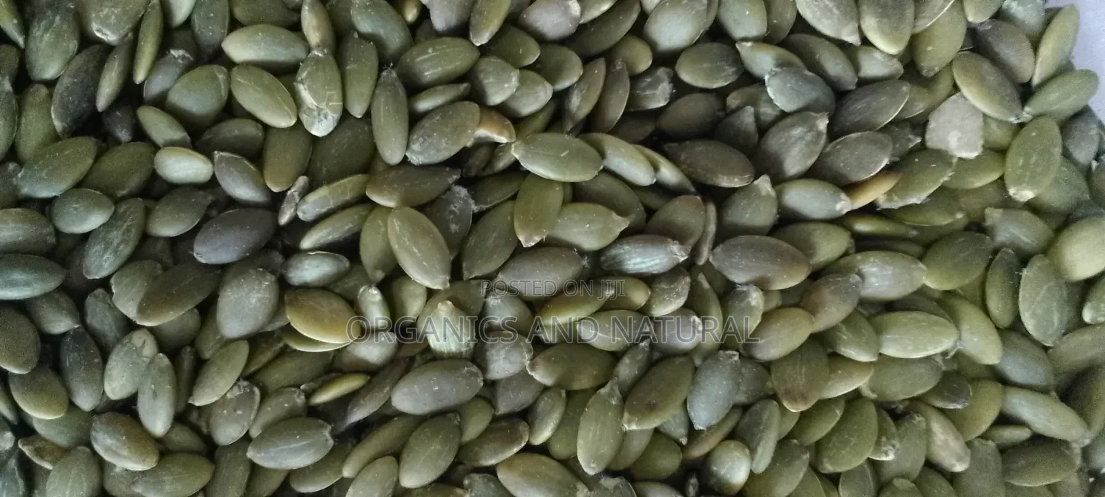 500g Pumpkin Seed