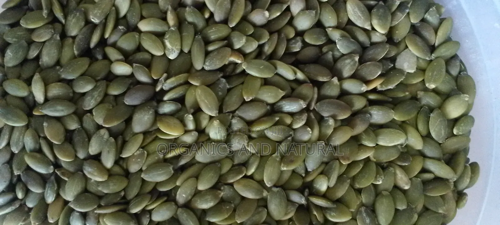 500g Pumpkin Seed