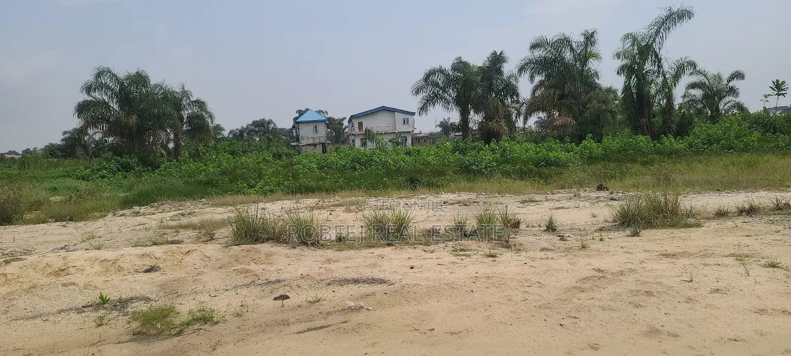 Quick Sale 4 Plots