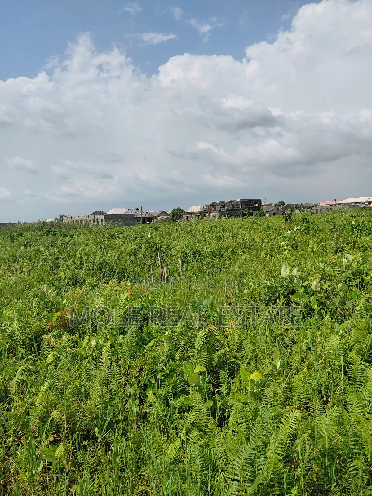 Half Plot Moshalashi Egan Fenced Gated