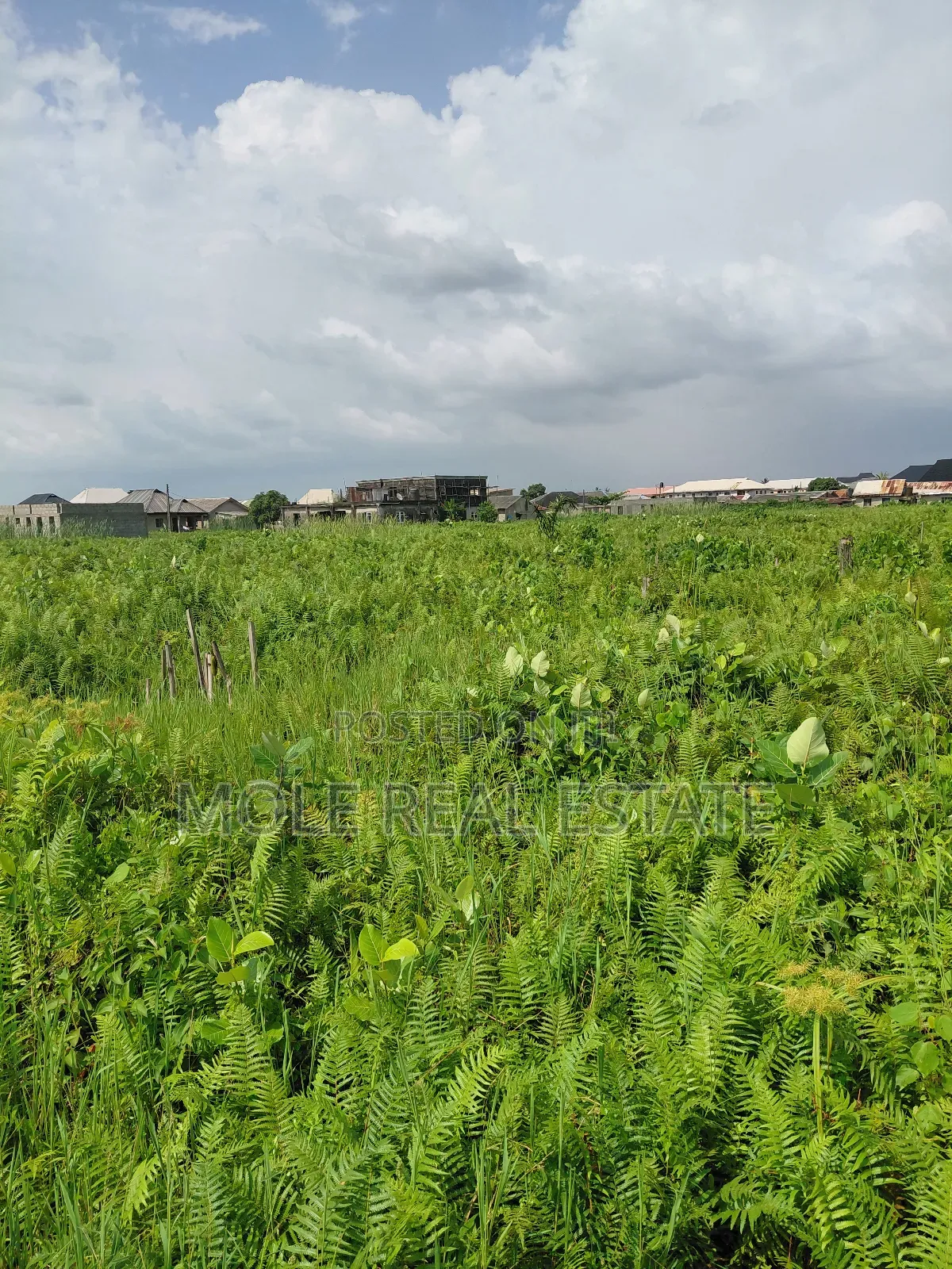Half Plot Moshalashi Egan Fenced Gated