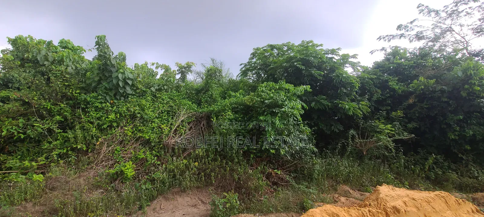 Prime Land Alert!