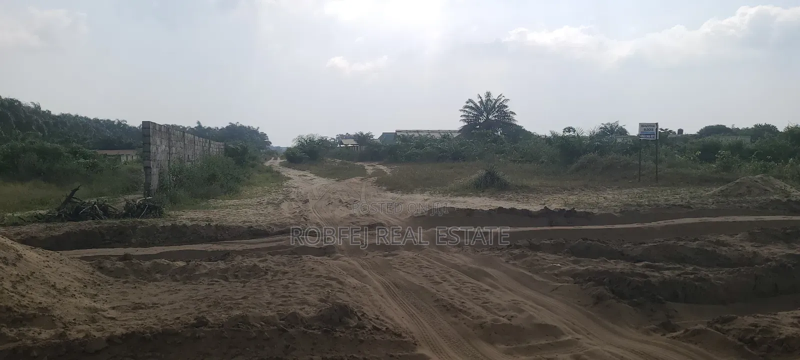 Prime Land Alert!