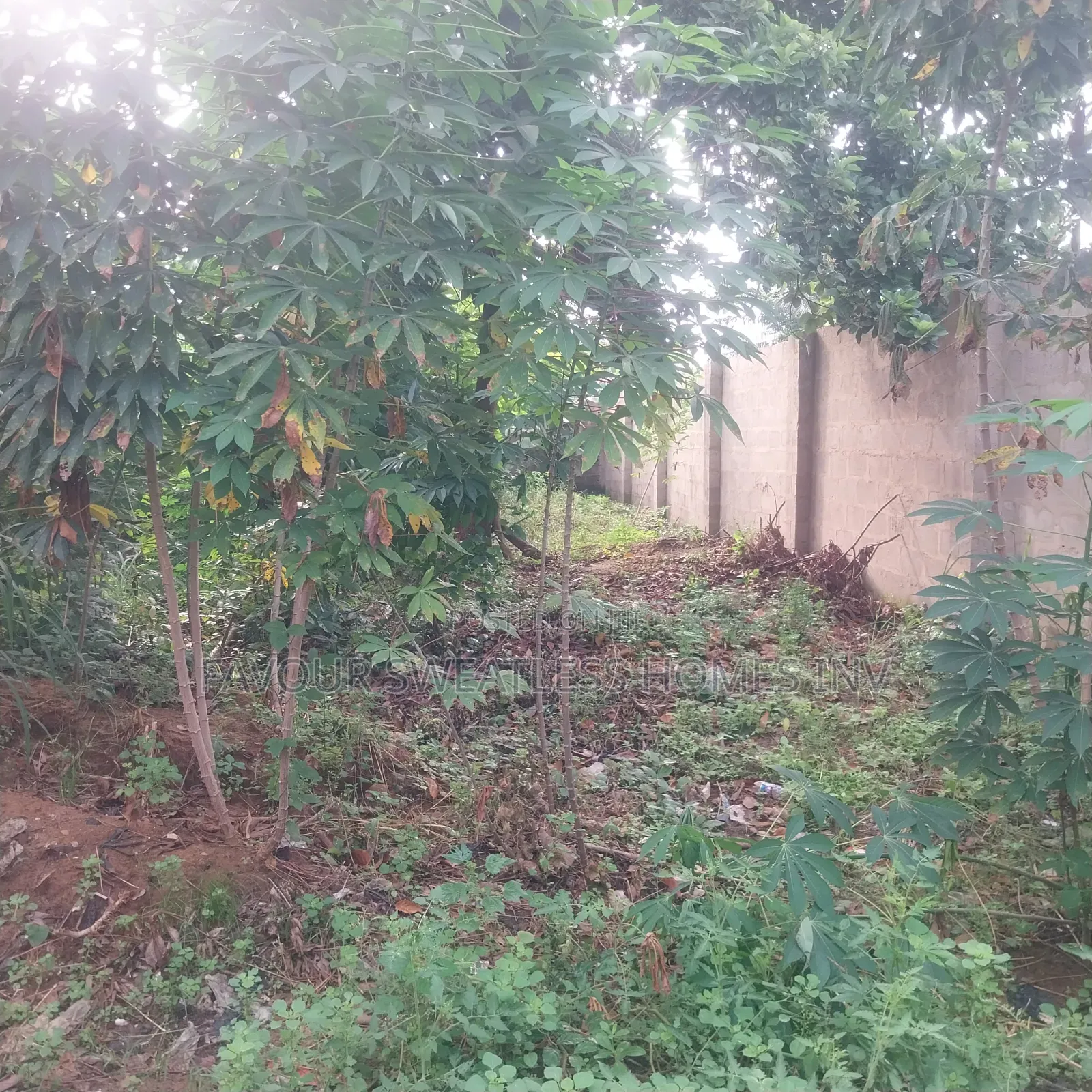 2 Plots of Land at Miracle Avenue Off Magboro Rd