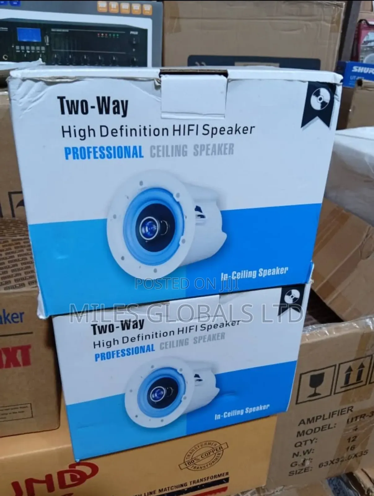 Bose Ceiling Speakers