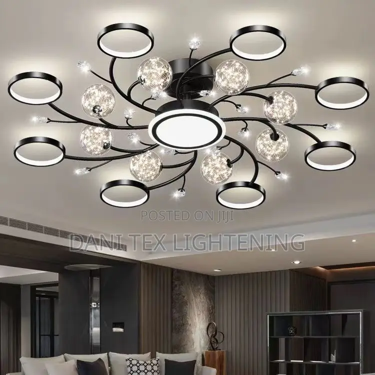 Modern Black Ceiling Chandeliers for Living Room Hall Ceiling Light