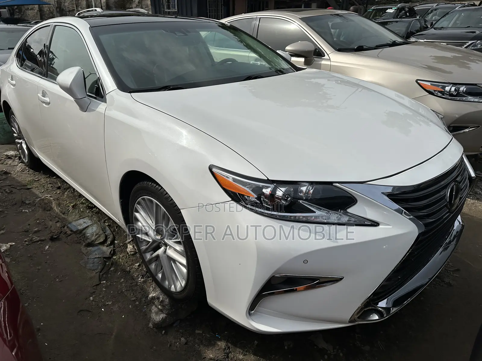 Lexus ES 350 FWD 2013 White