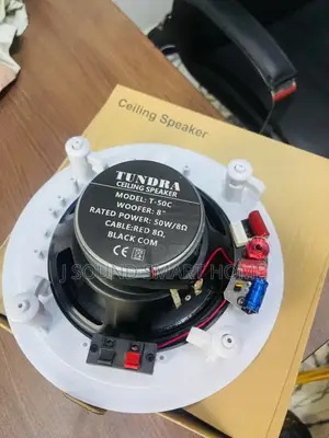 High Quality 50w Passive Speaker