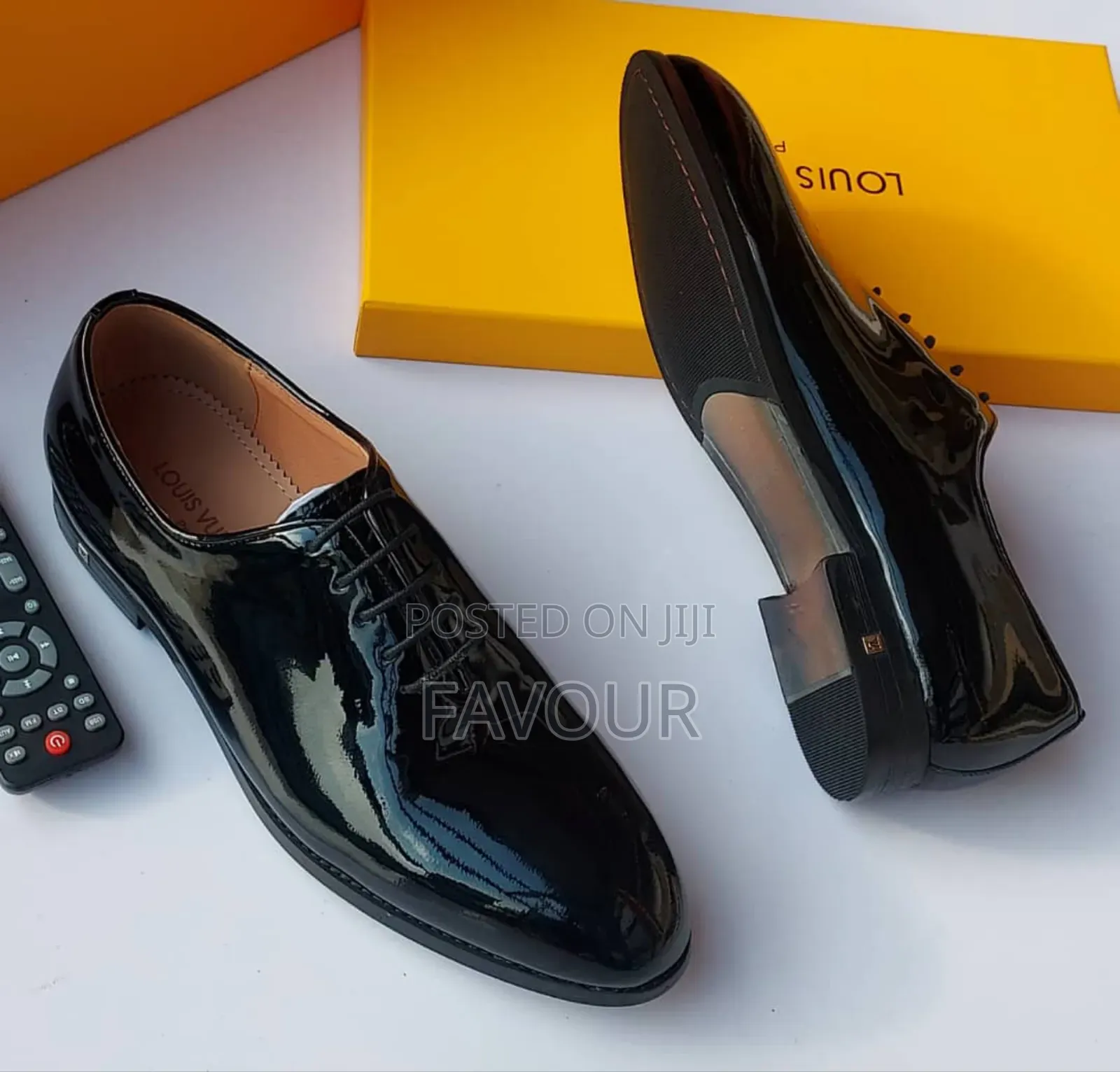 Louis Vuitton Wet Looks Shoes