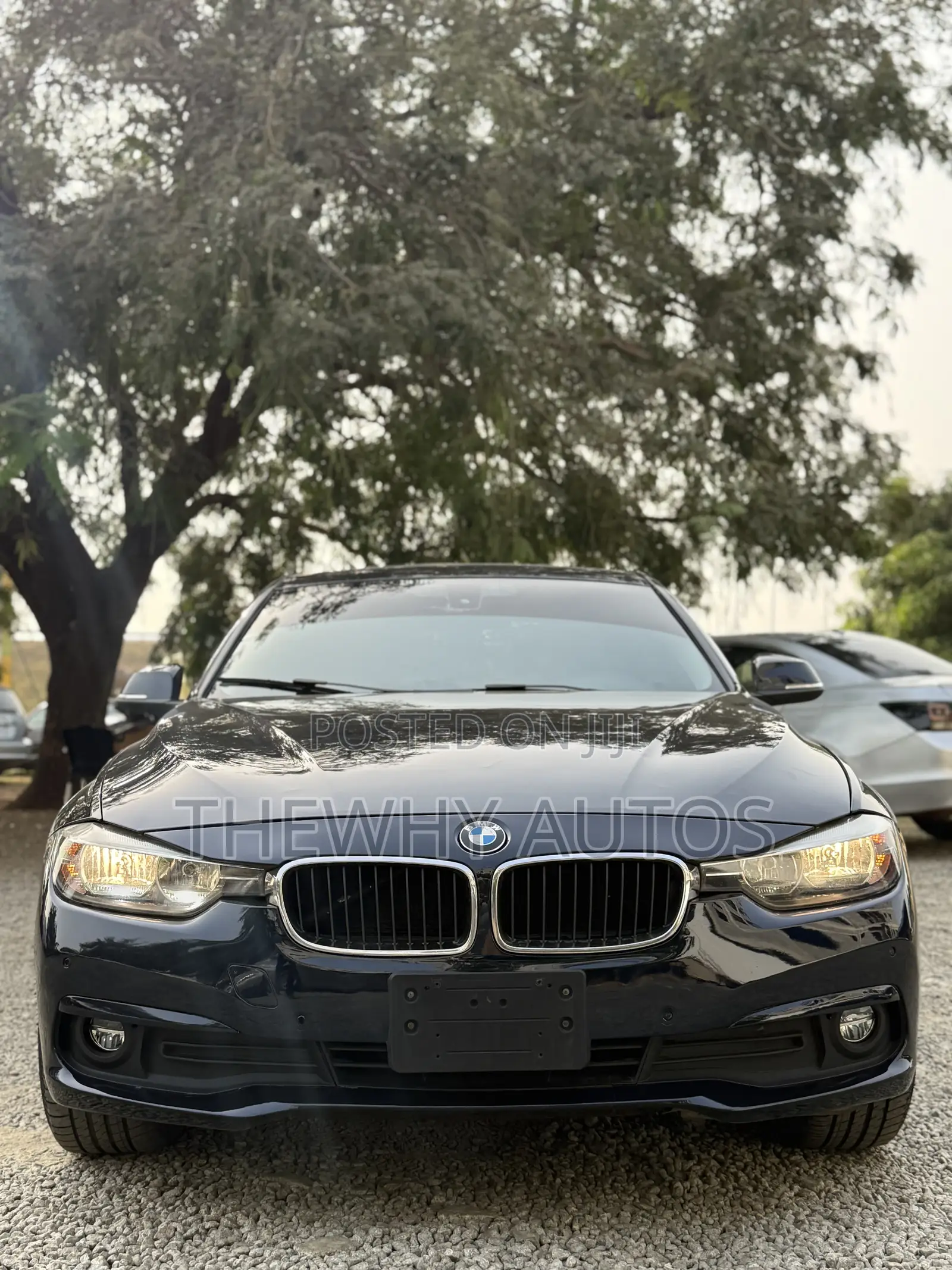 BMW 320i Sedan RWD 2016 Blue