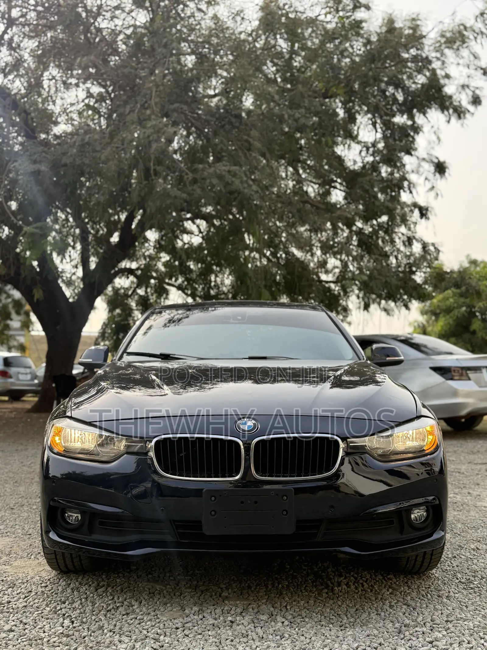 BMW 320i Sedan RWD 2016 Blue