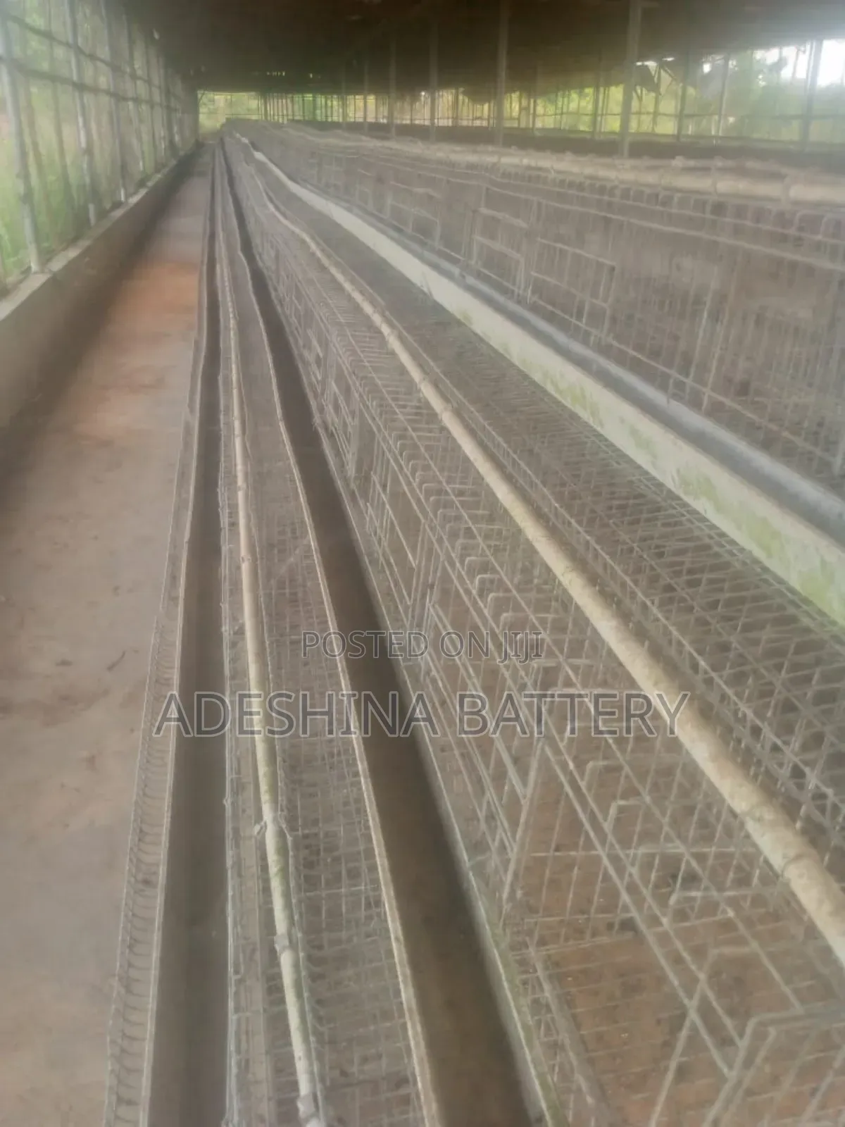 Adeshina Oni Cages
