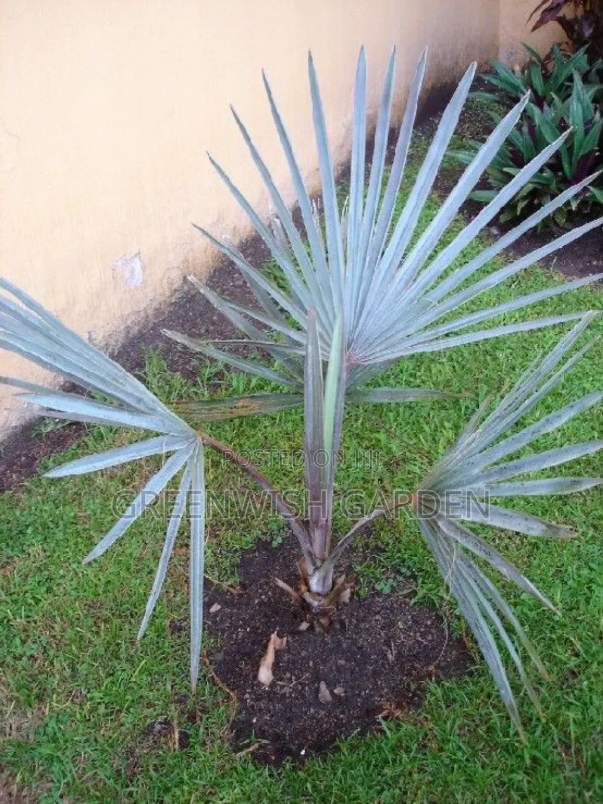 Garden,Landscaping and Horticulture