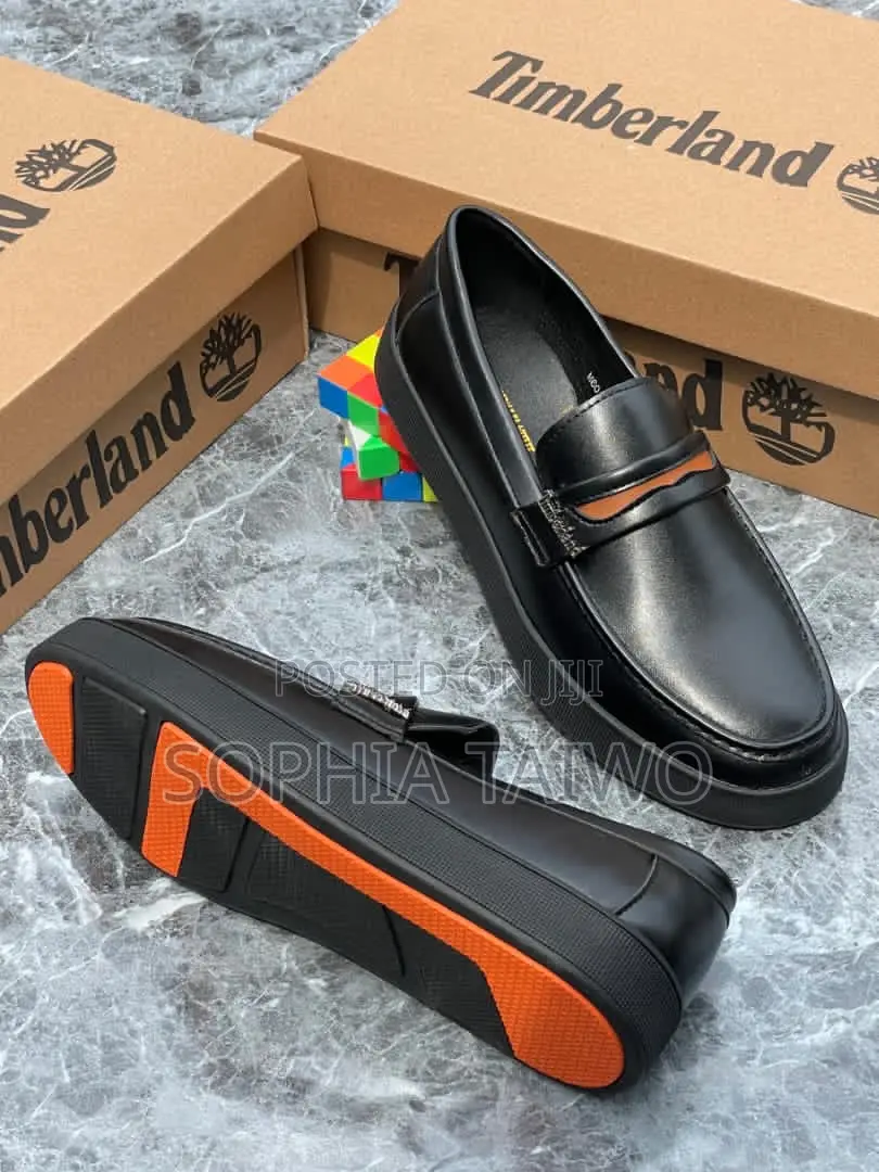 Shiny Men Timberland Shoe