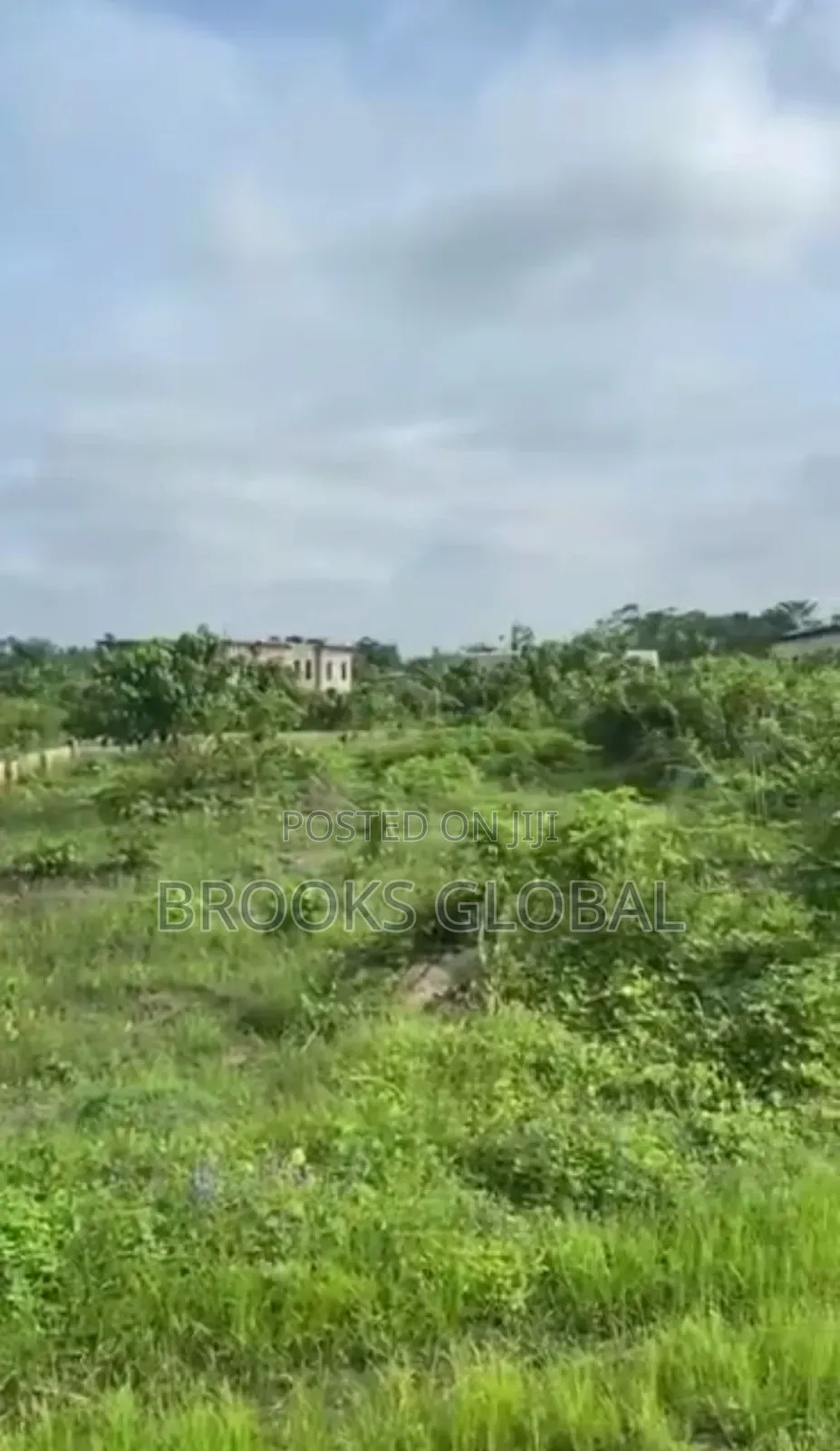 Land of 100/100 at Naija Cat for Sale