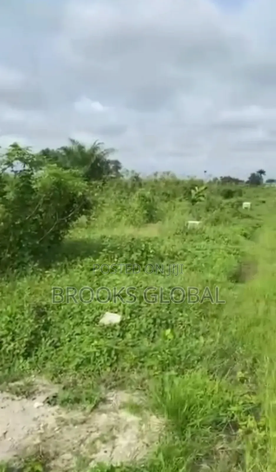Land of 100/100 at Naija Cat for Sale