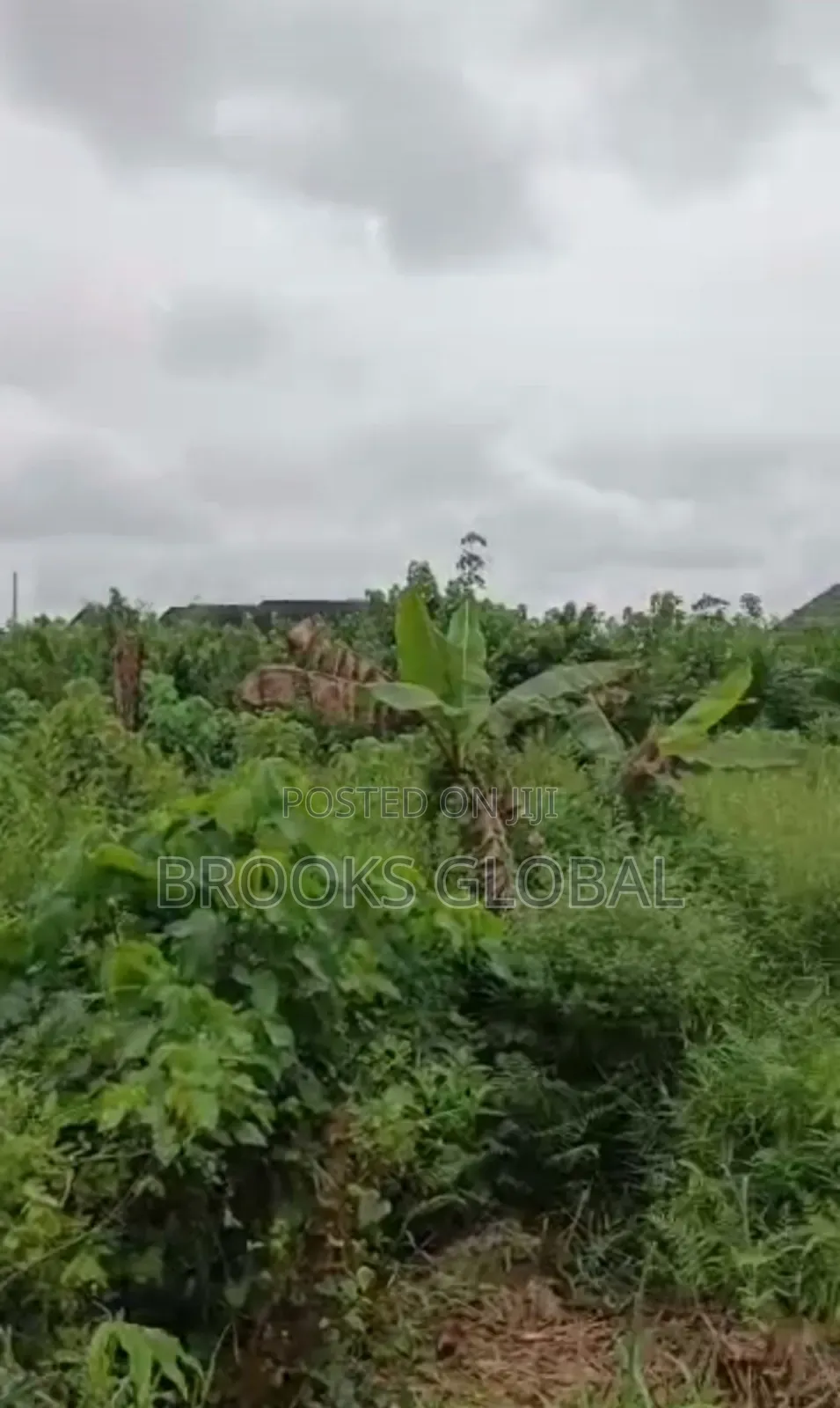 A Land of 100/100 on Tiled Road at Nigercat Warri for Sale