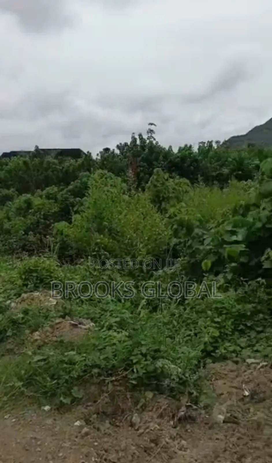A Land of 100/100 on Tiled Road at Nigercat Warri for Sale