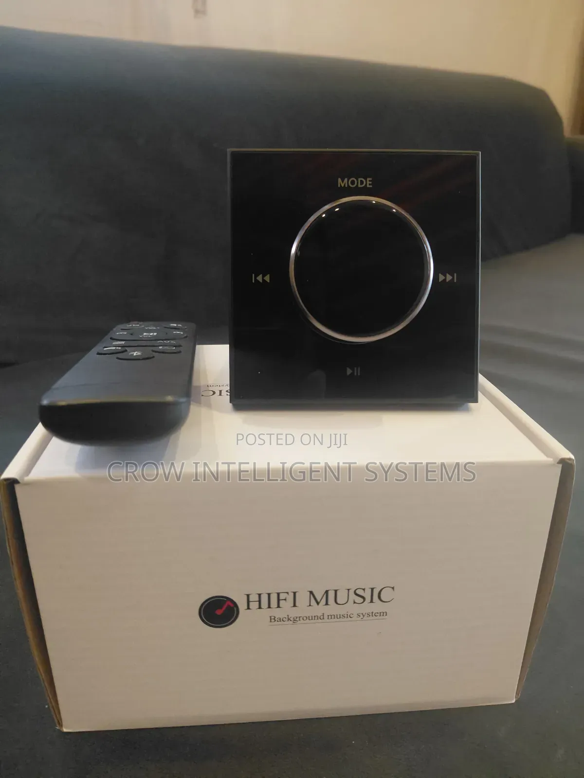 Sleek Wall Amplifier