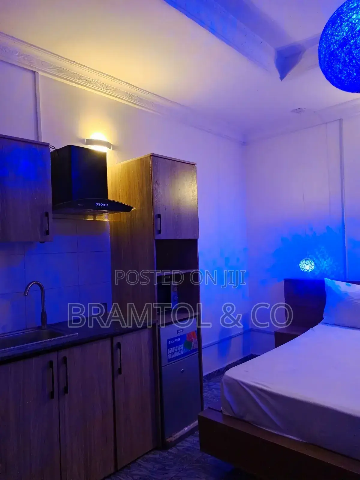 Furnished Studio Apartment in Garki 2 for rent