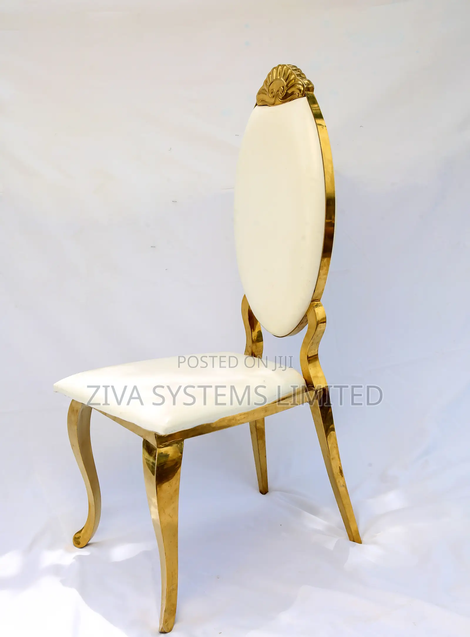 Dior Vip Chair