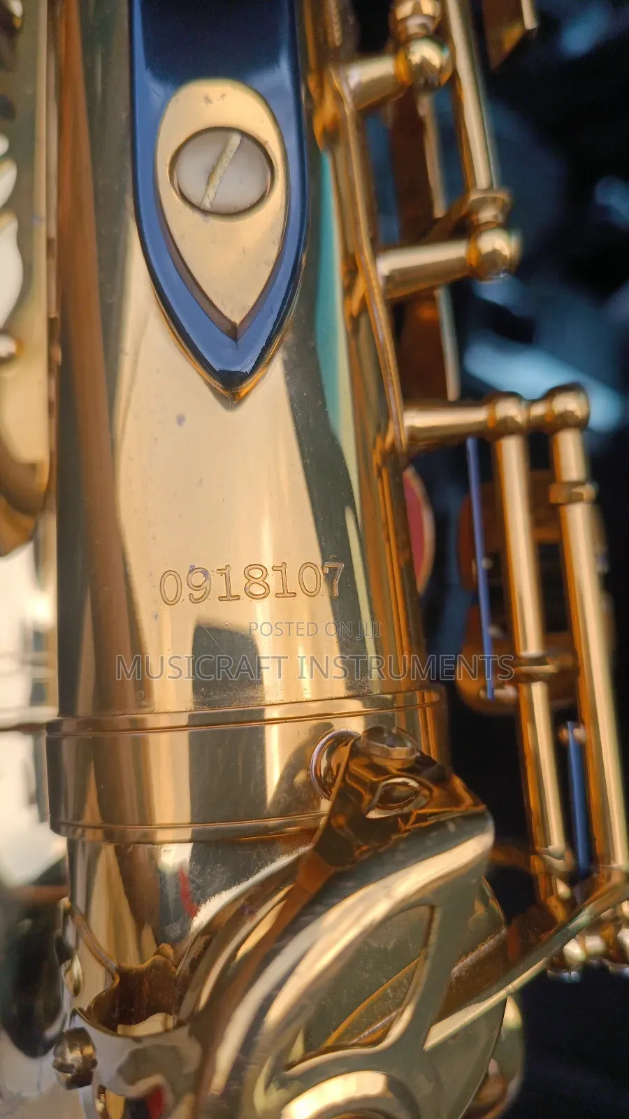 Tokunbo Armstrong Usa Alto Saxophone