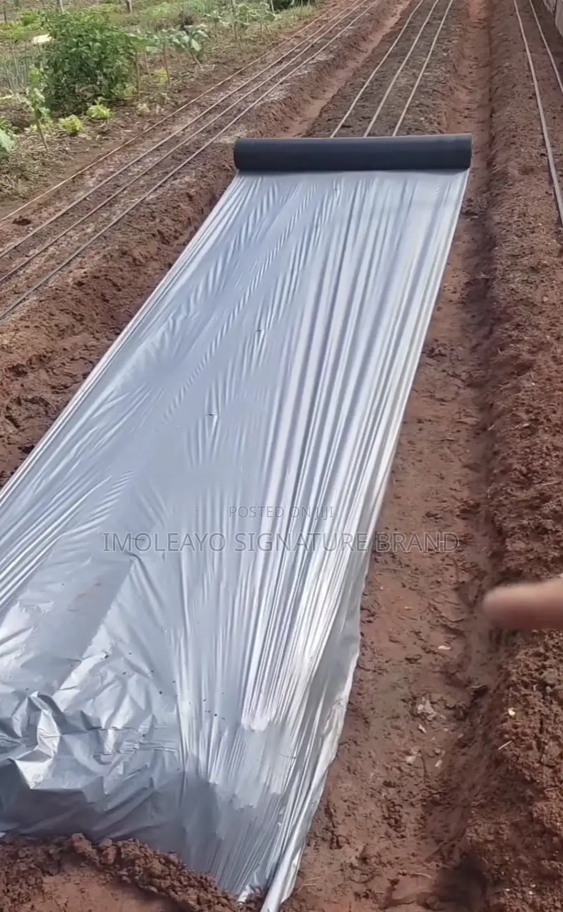 Plastic Mulch Film ( 1.2m * 500m )