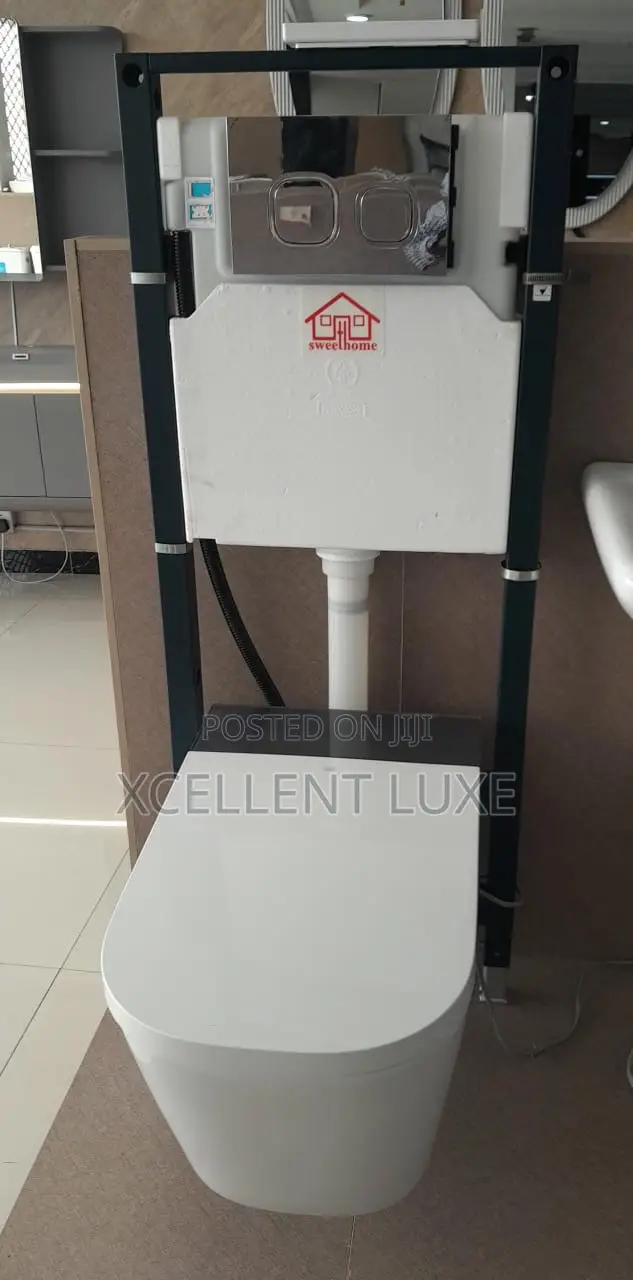 Sensor/Manual Concealed Wc, Self Flushing With Good Flushing System