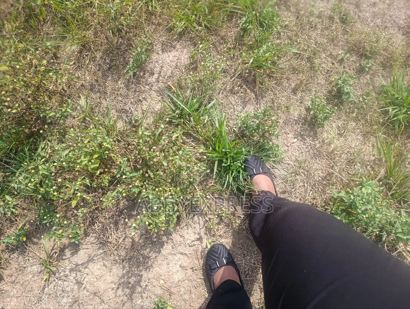 Land for Sale in Oluyole Gra, Ibadan.