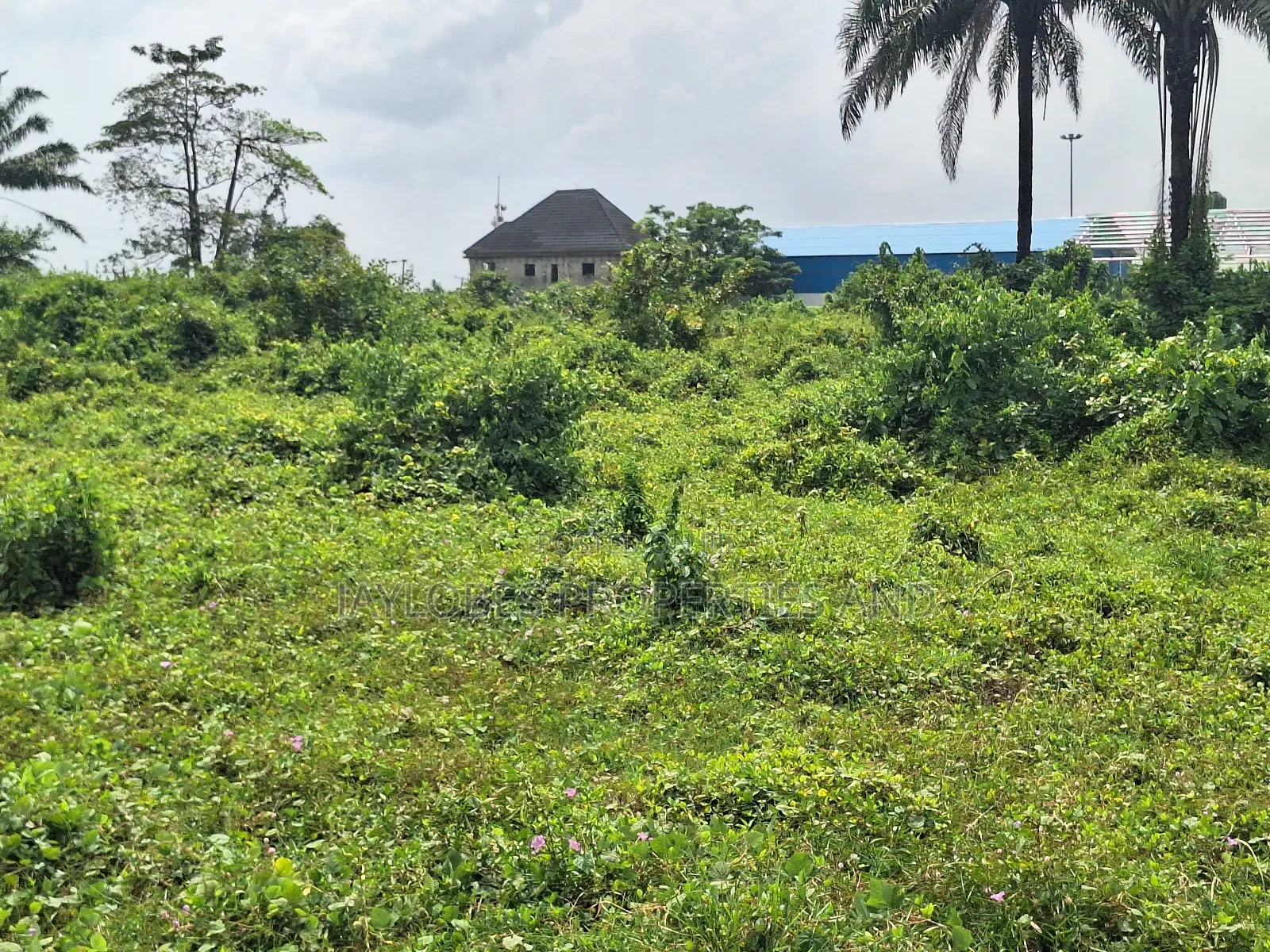 For Sale: 100 Plots Directly on a Tarred Road, Omagwa, Rivers State