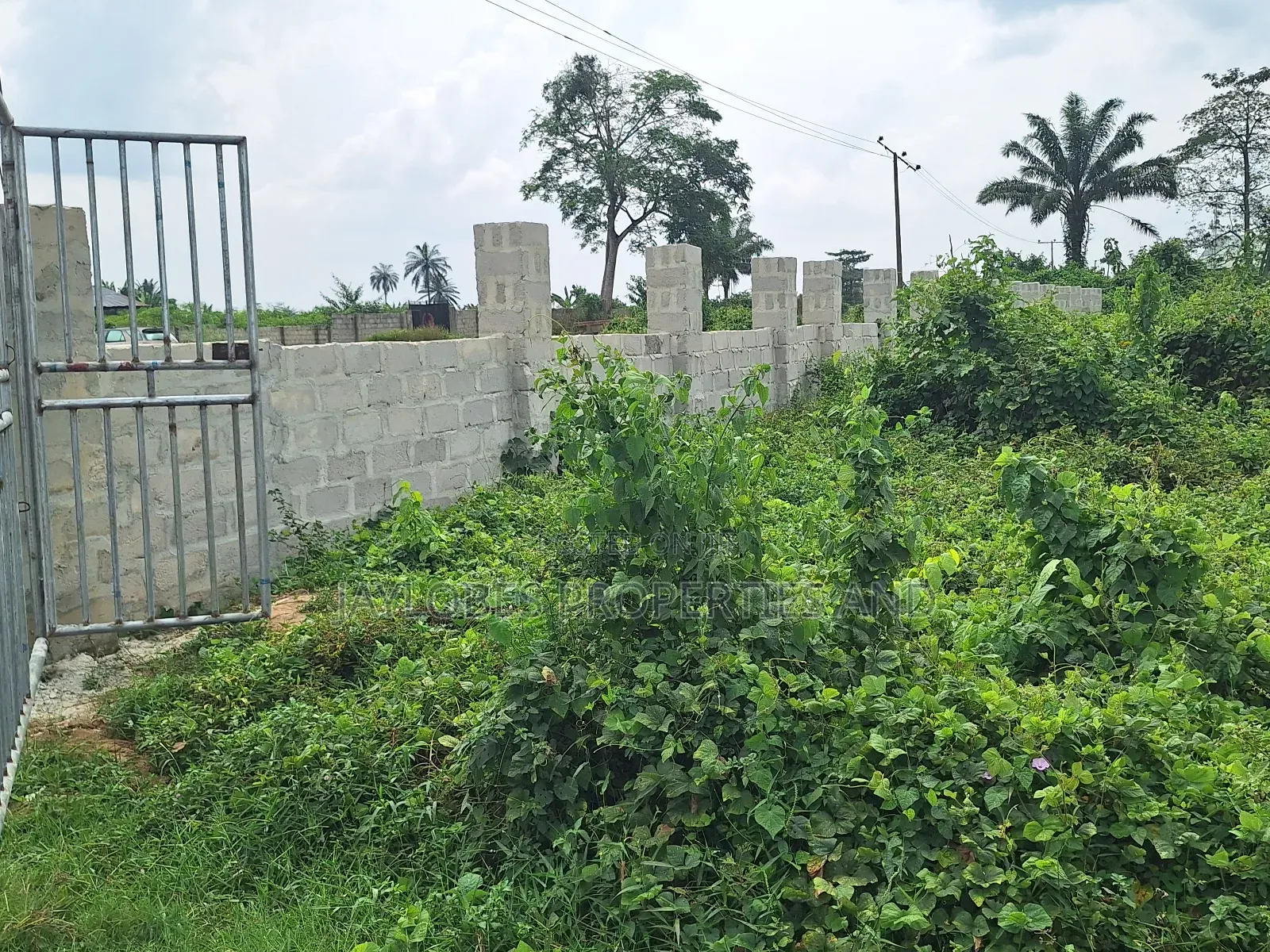 For Sale: 100 Plots Directly on a Tarred Road, Omagwa, Rivers State