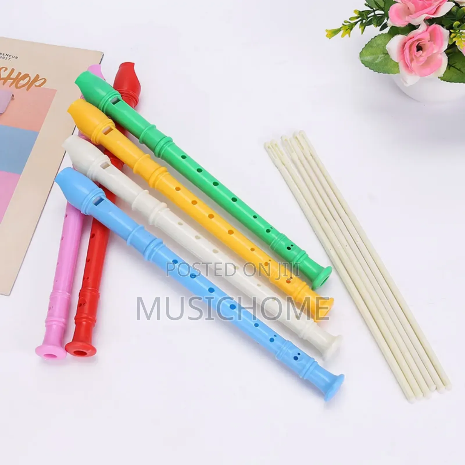 Children Recorder For Schools And Home Use
