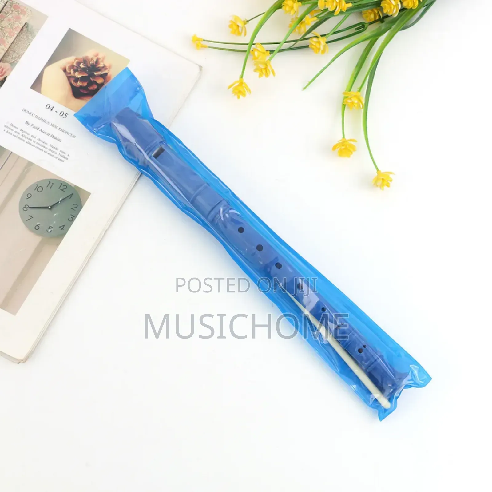 Children Recorder For Schools And Home Use