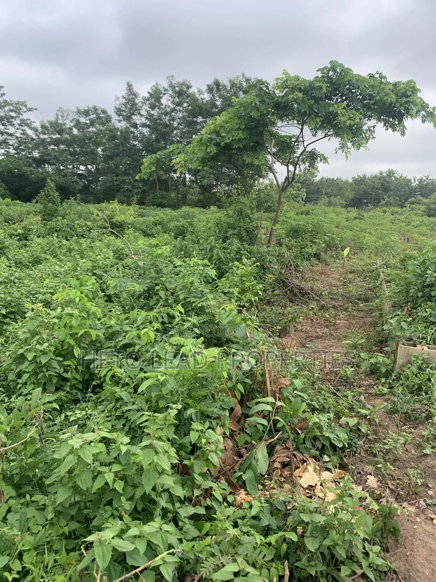10.5 Acres Of Land Facing The Main Expressway