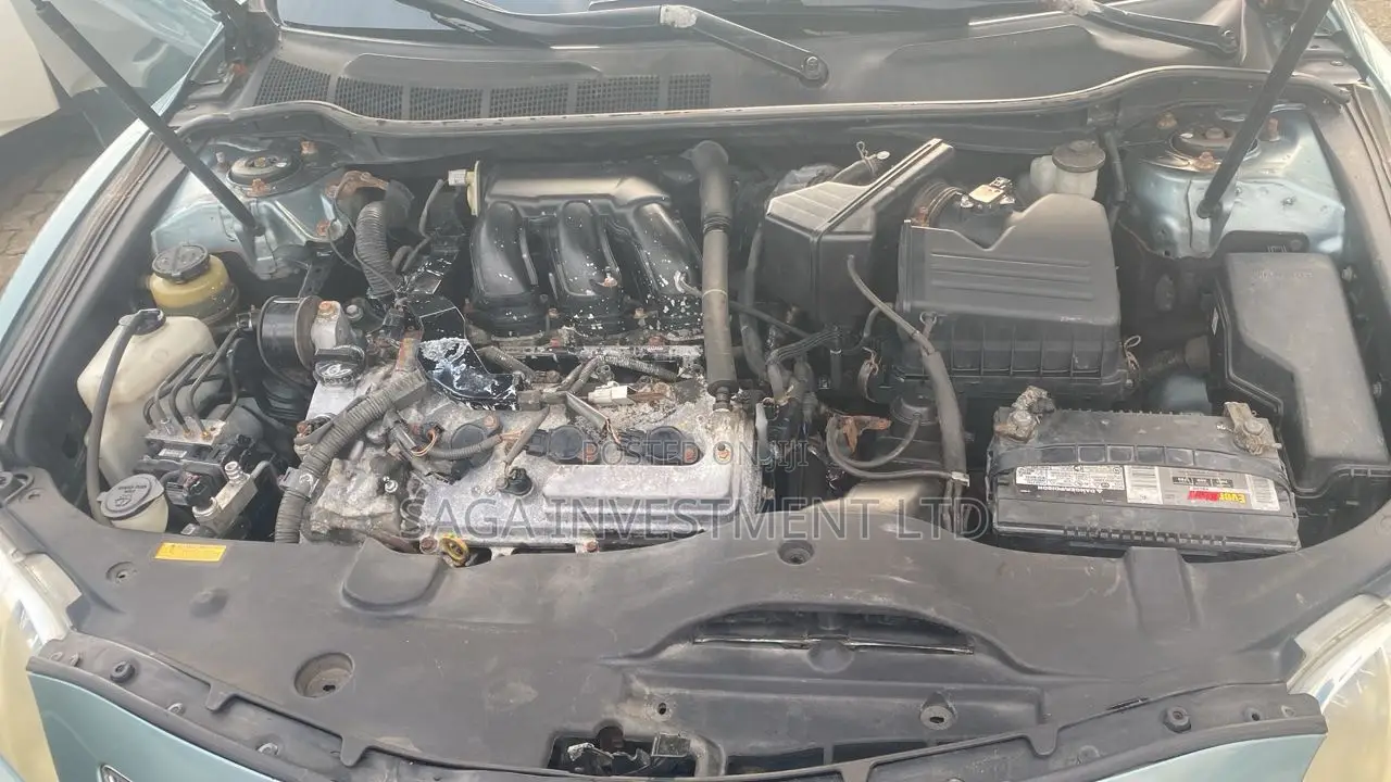 Toyota Camry XLE V6 4dr Sedan (3.5L 6cyl 6AM) 2009 Green
