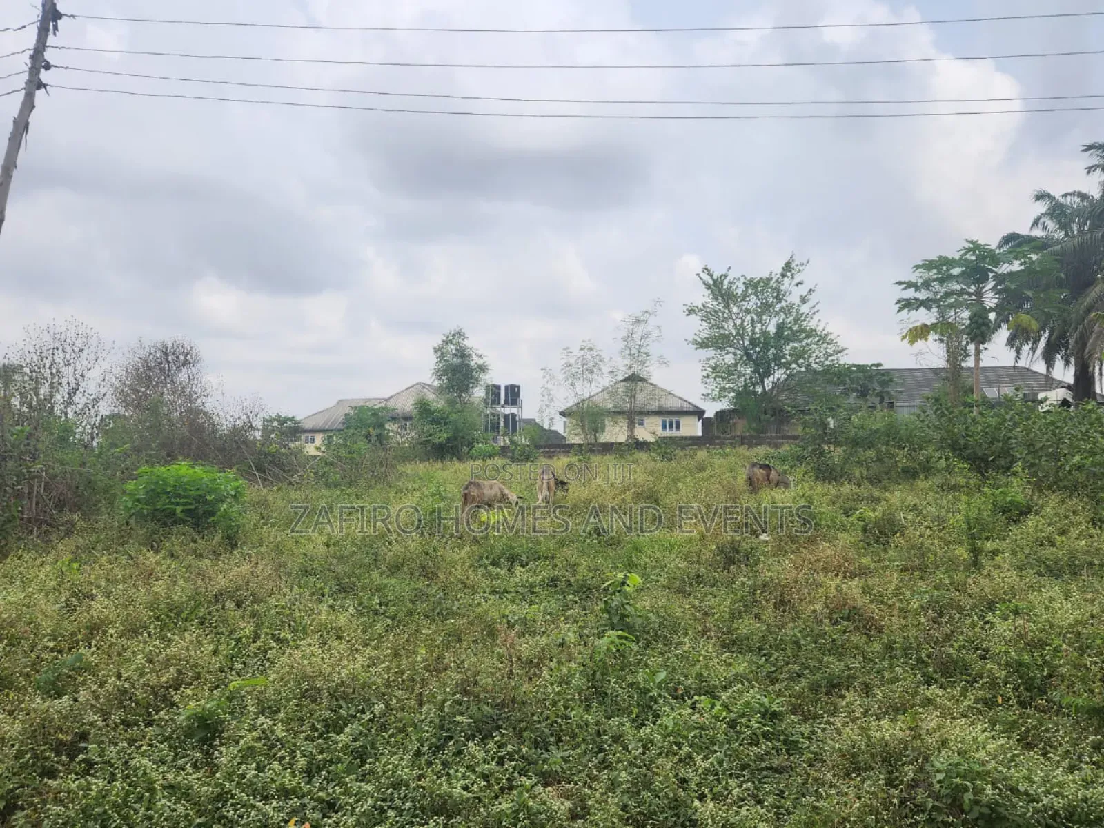 Strategic 5 Plots Near Podo Road for Sale