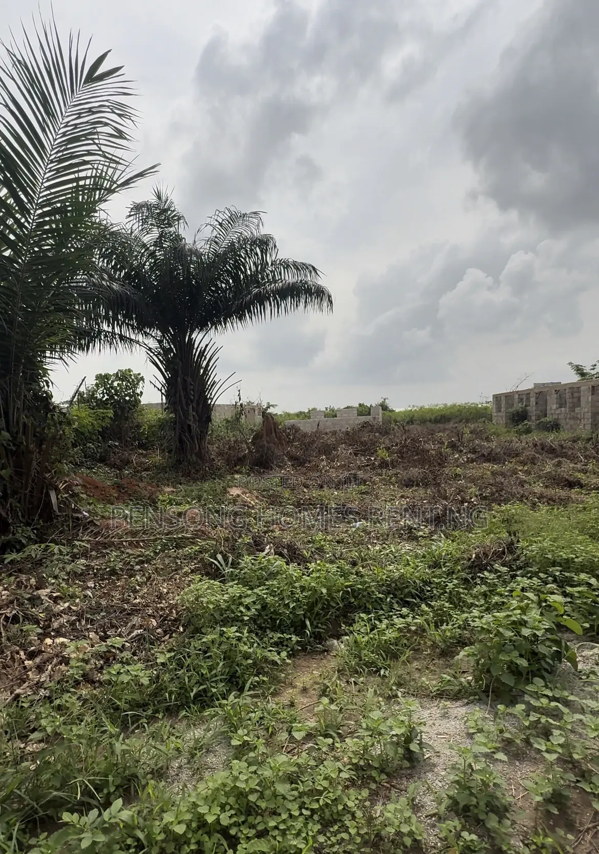 Full Plot of Land