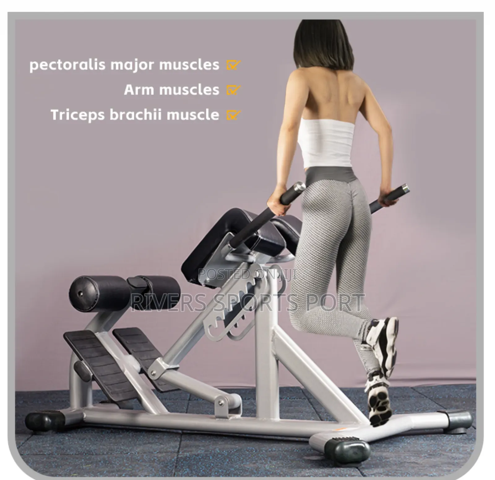 Multifunctional Roman Chair Commercial/Home Hyperextension Bench P.H