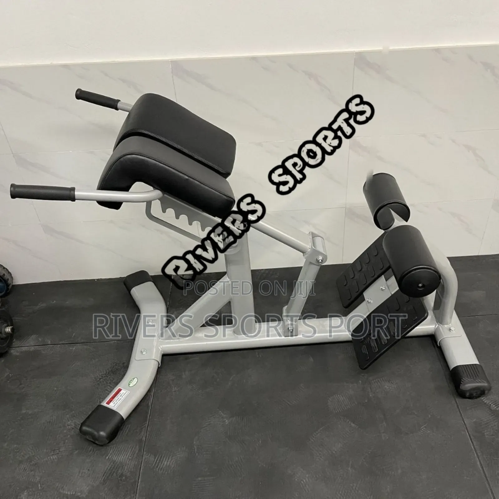 Multifunctional Roman Chair Commercial/Home Hyperextension Bench P.H