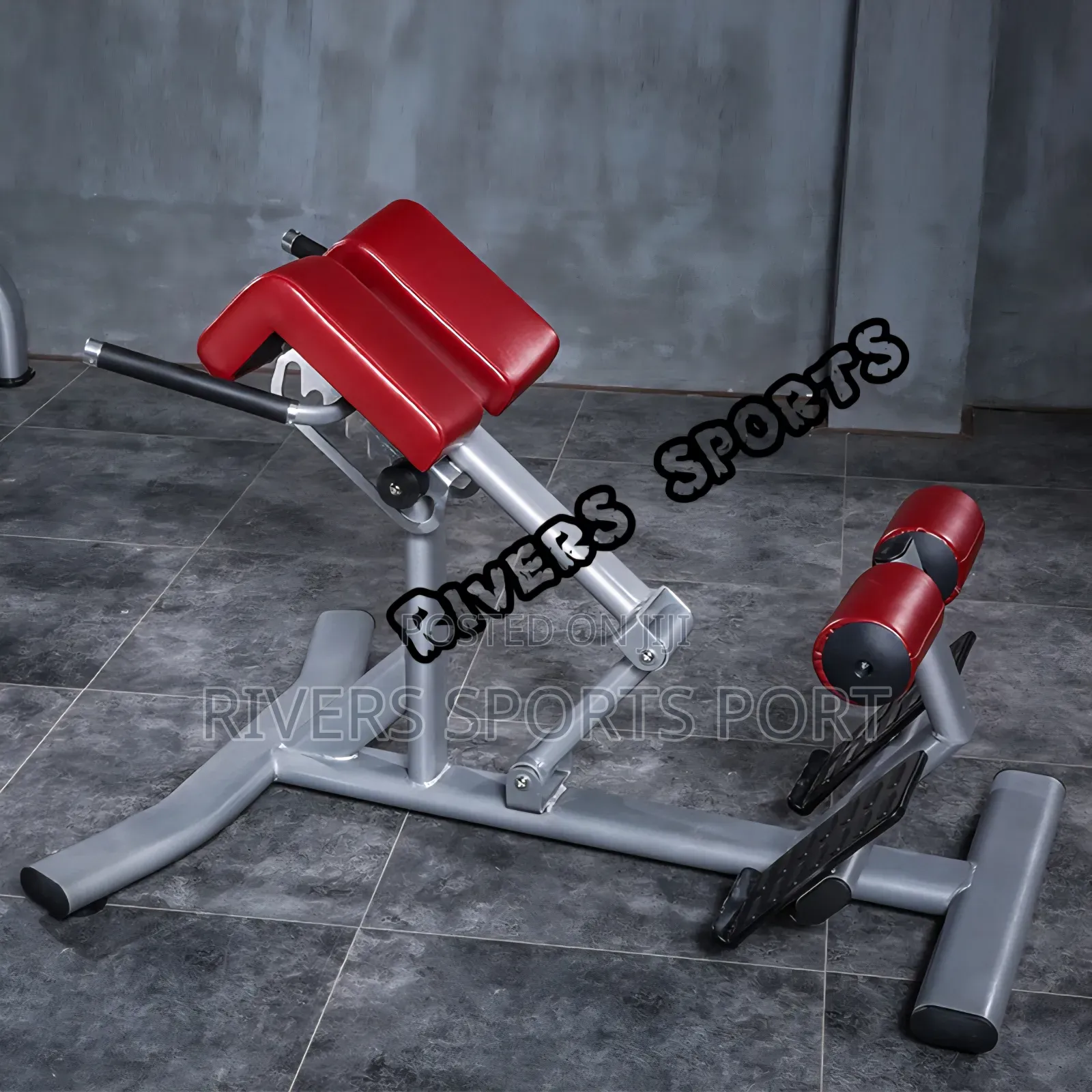 Multifunctional Roman Chair Commercial/Home Hyperextension Bench P.H