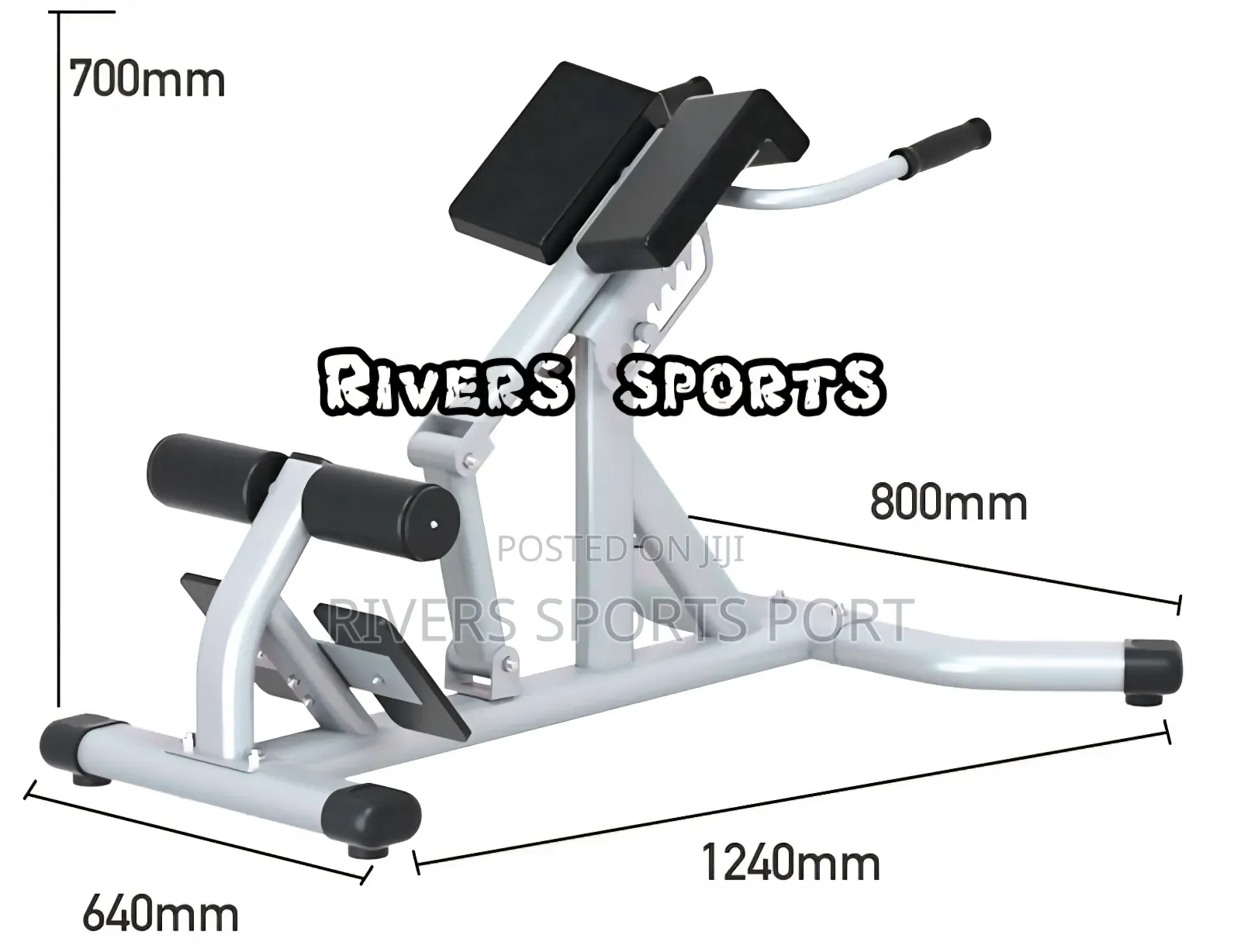 Multifunctional Roman Chair Commercial/Home Hyperextension Bench P.H