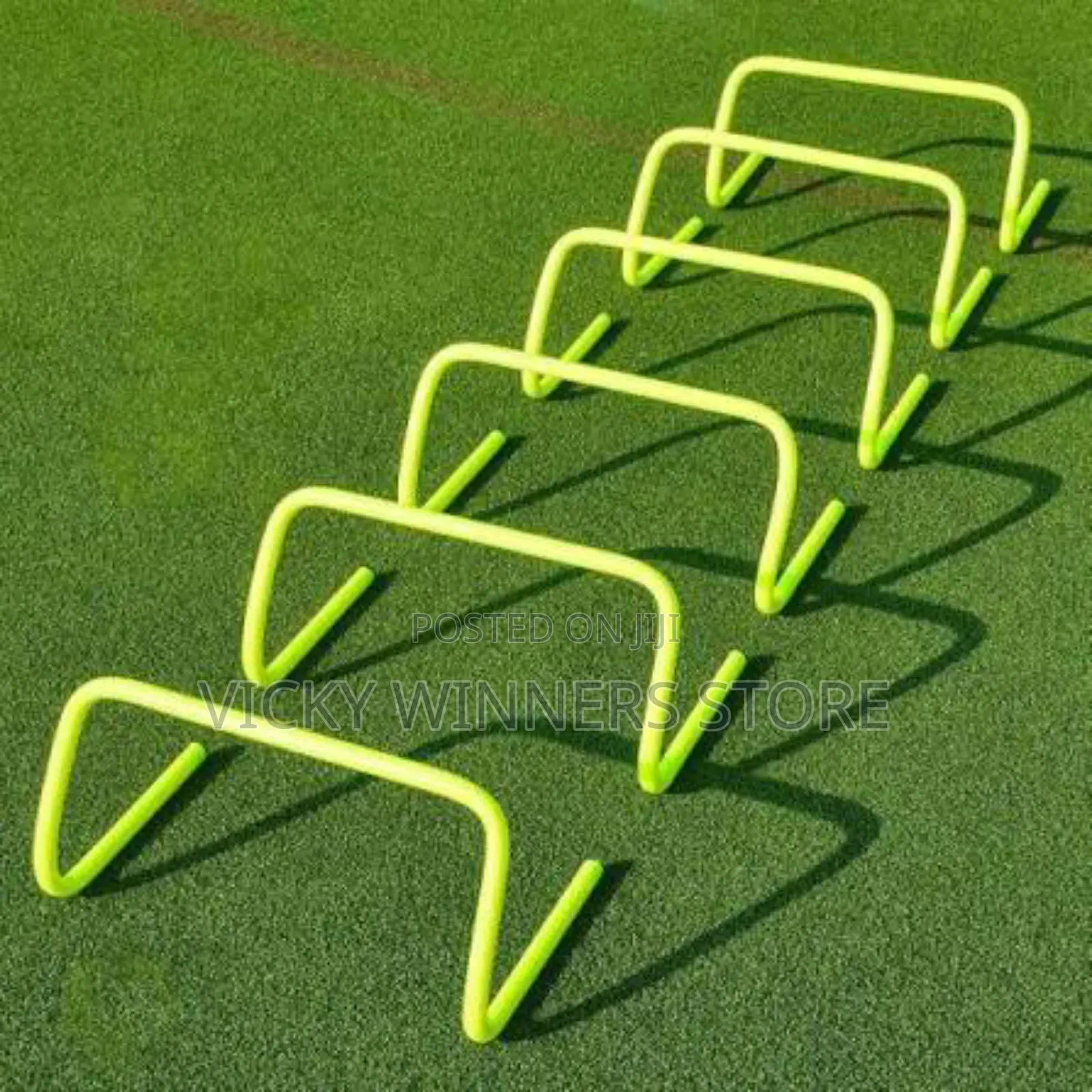 Agility Hurdle