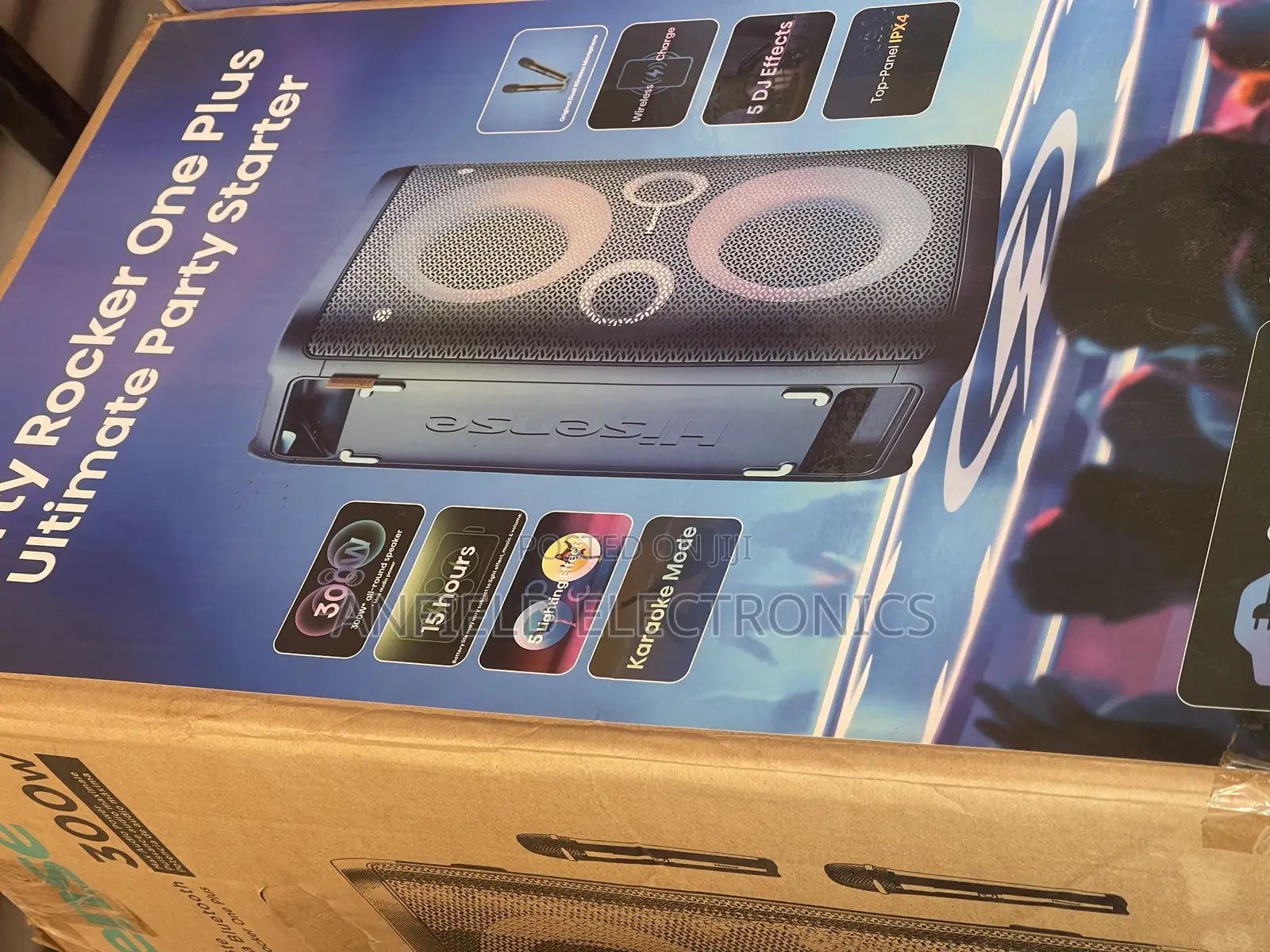Hisense 300 Watts Party Rocker