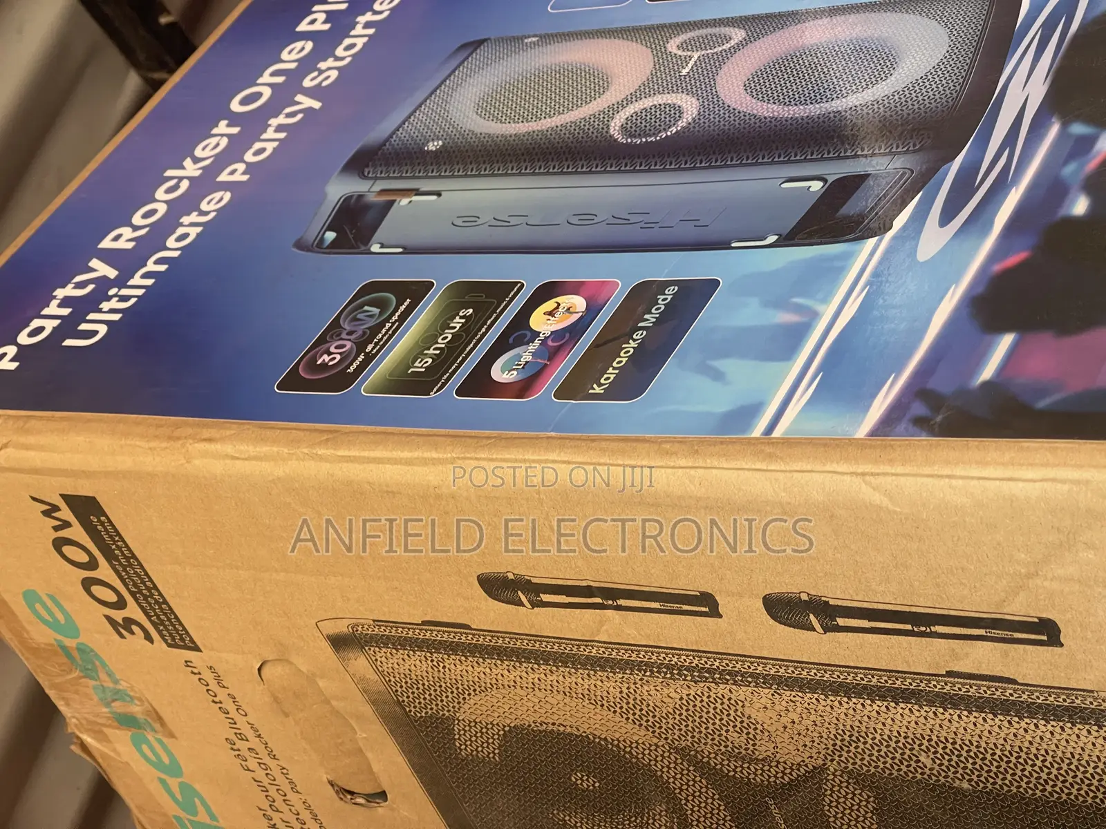Hisense 300 Watts Party Rocker