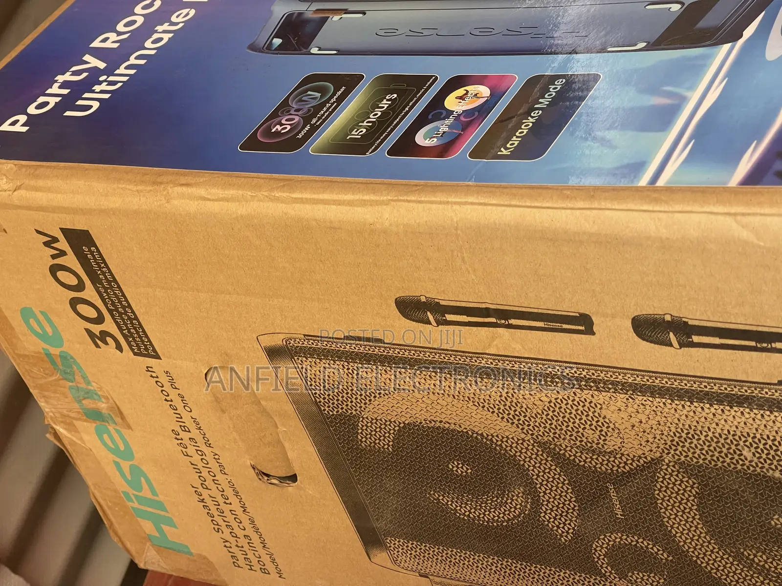 Hisense 300 Watts Party Rocker