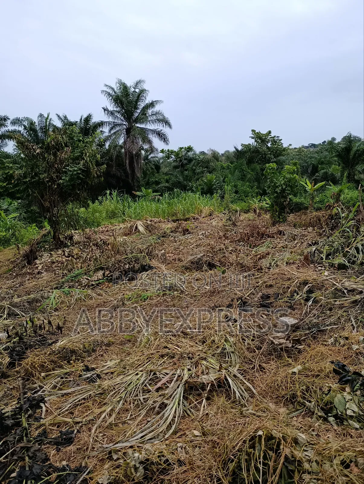Plot of Land for Sale in Akobo, Olohunda Ibadan
