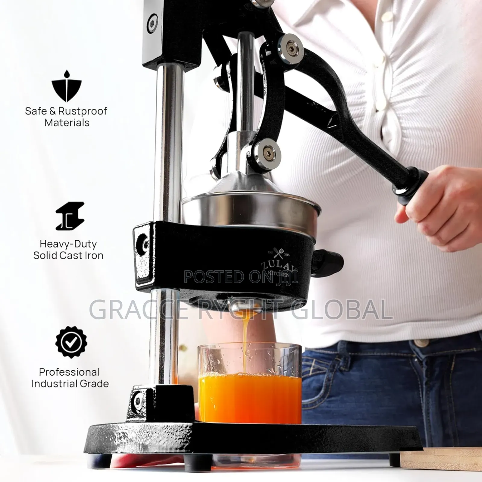 Industrial Citrus Juicer