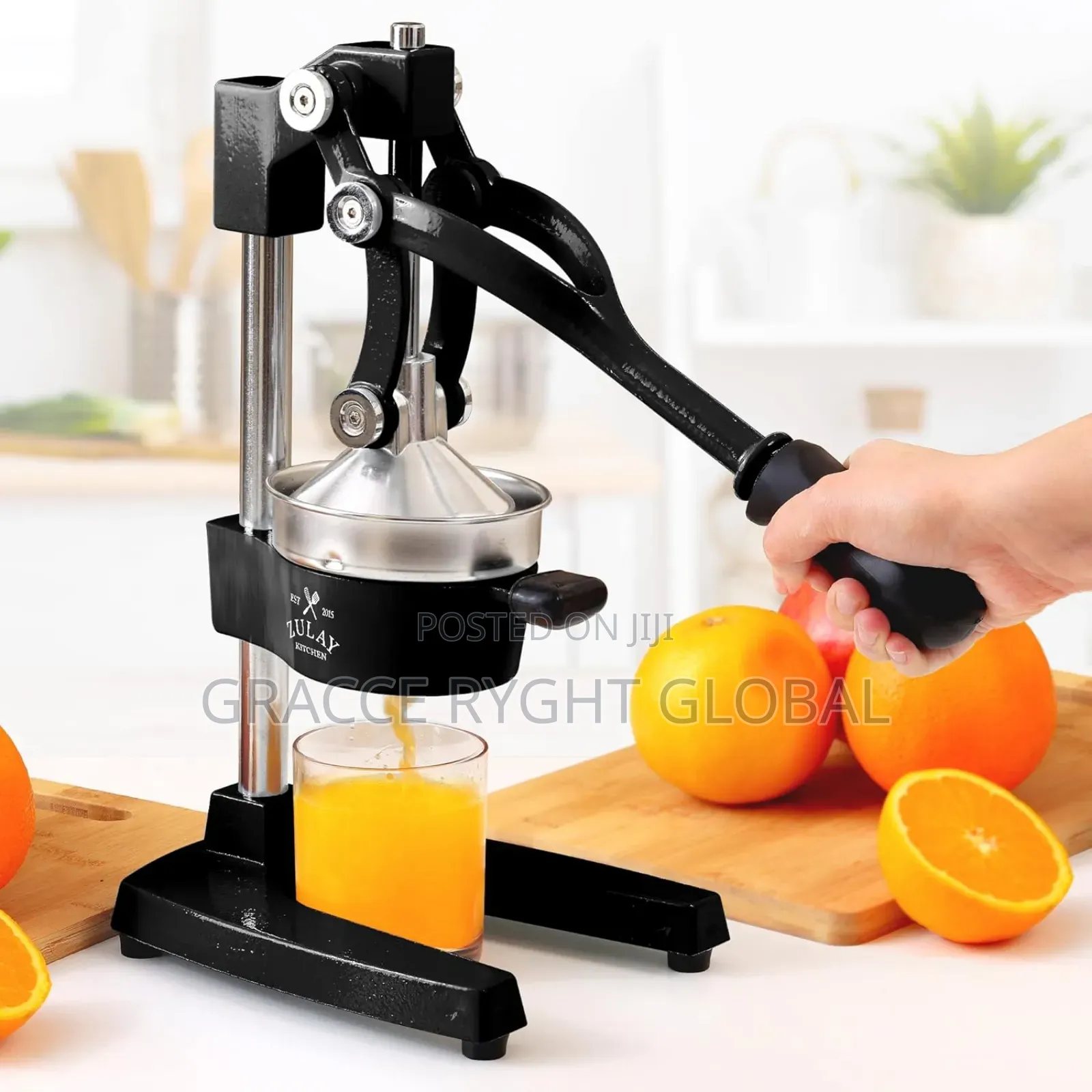 Industrial Citrus Juicer