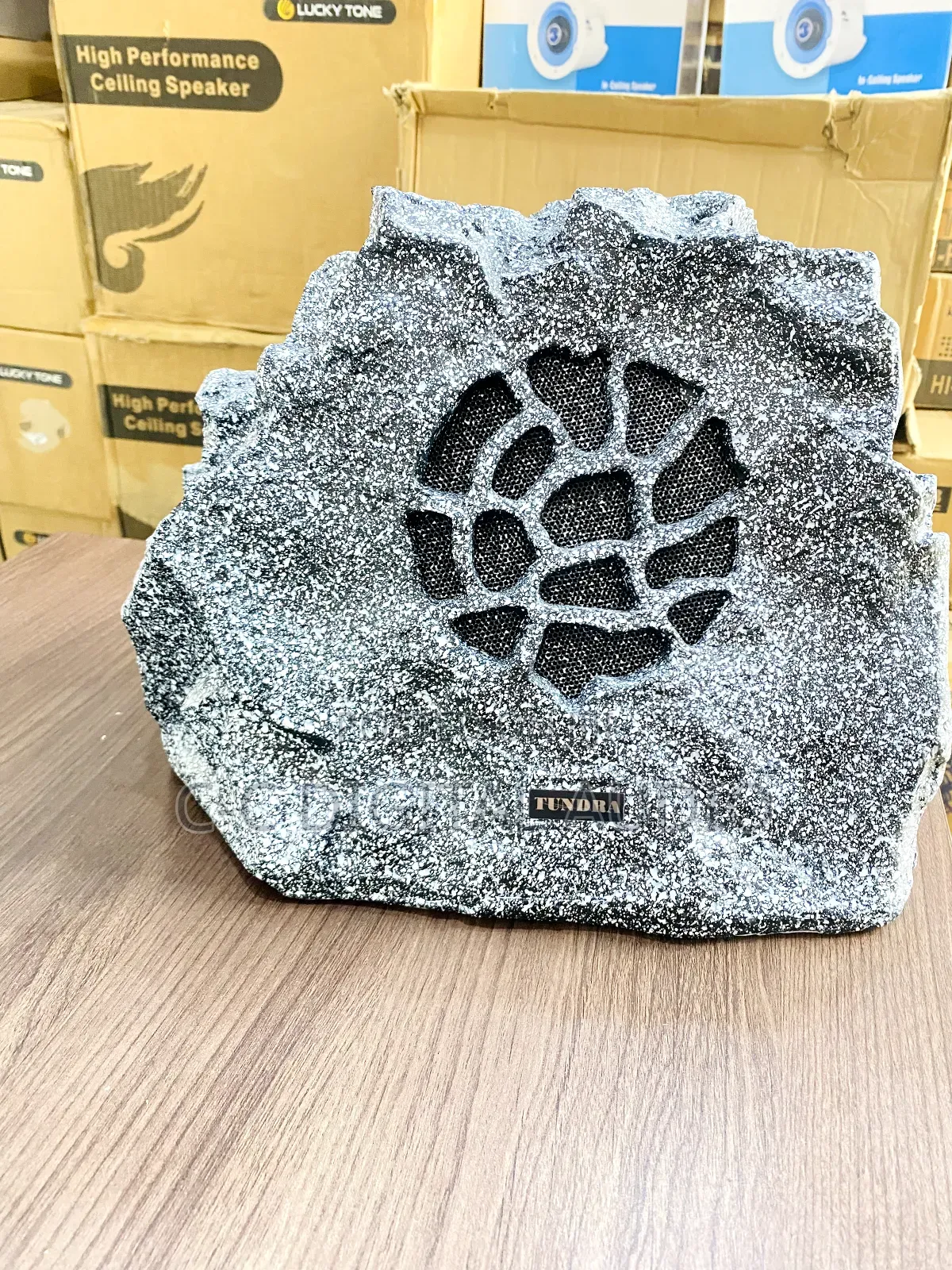 Waterproofs Rock Garden Speaker